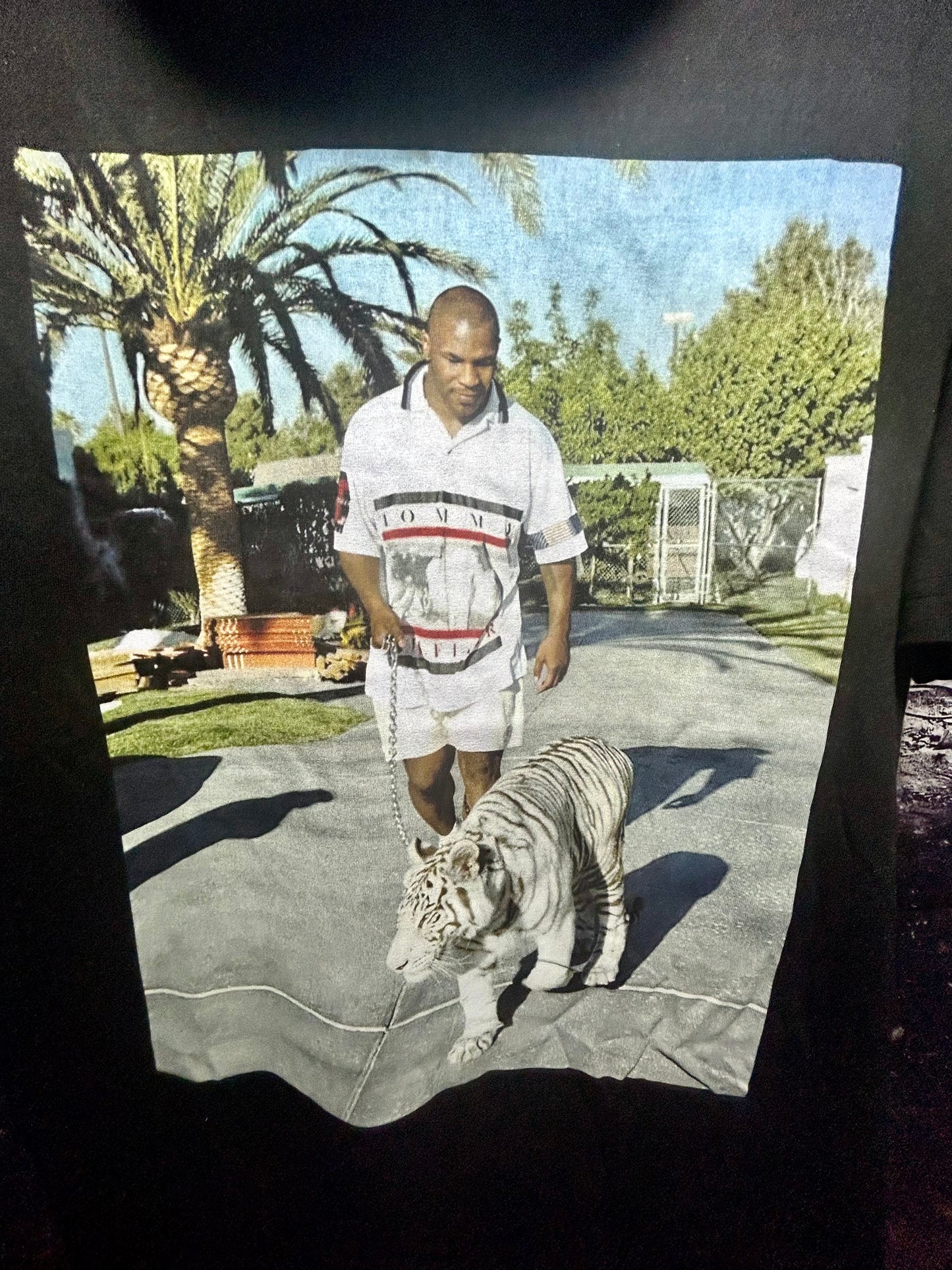 Mike Tyson's Tiger